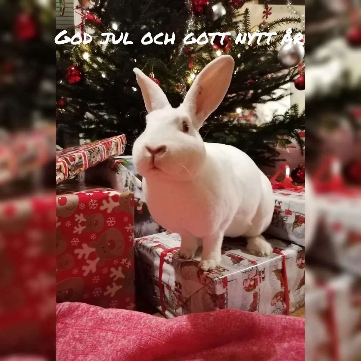 God jul och gott nytt år 